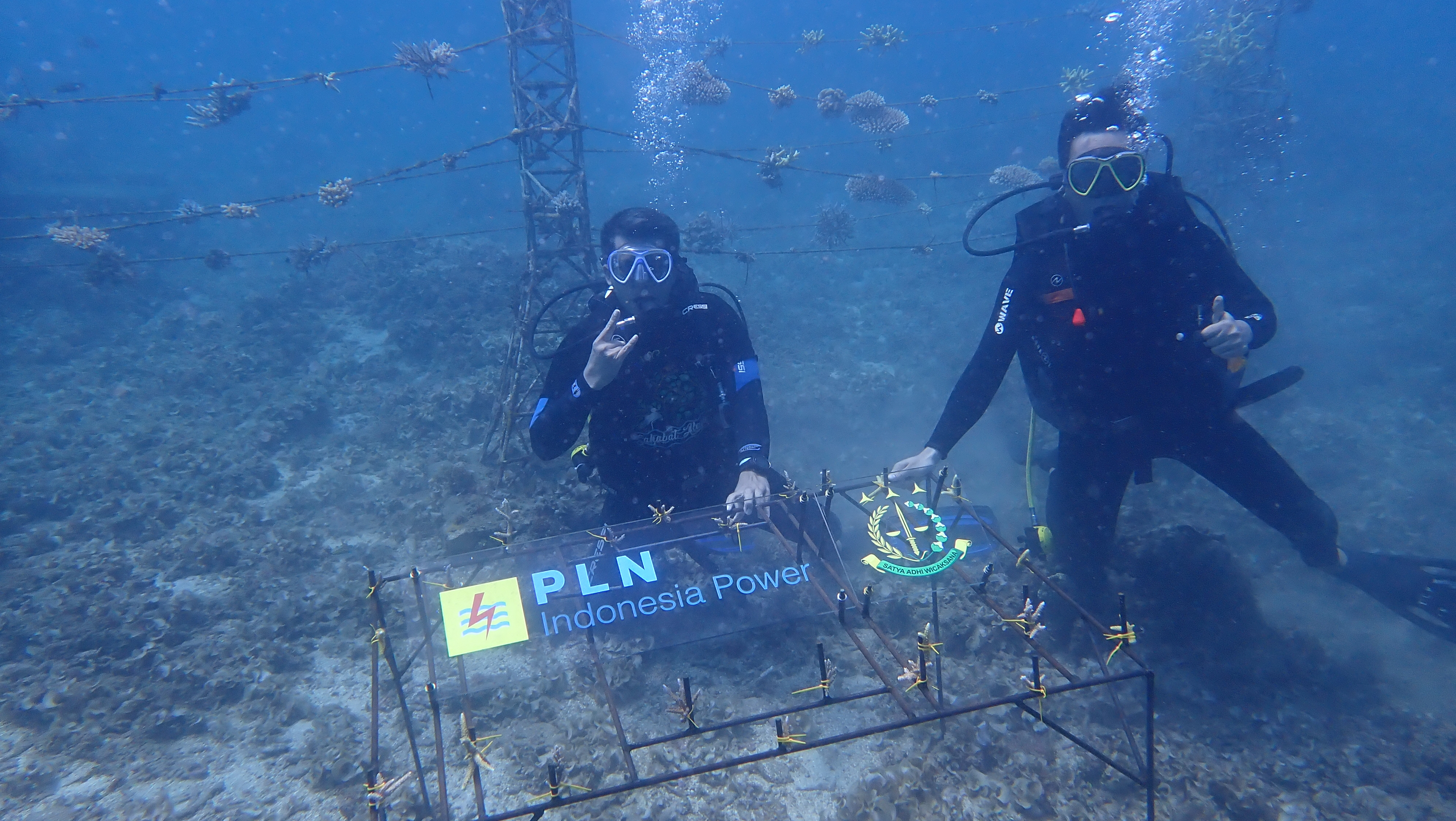 Petualangan Laut 4